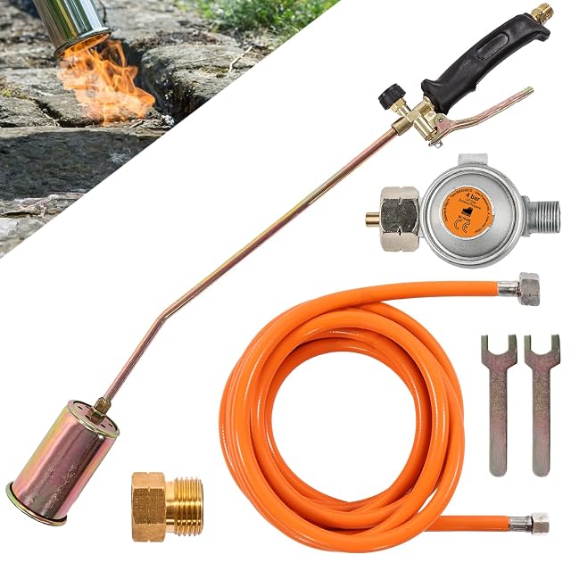Professioneller Gasbrenner mit Schlauch und Druckregler